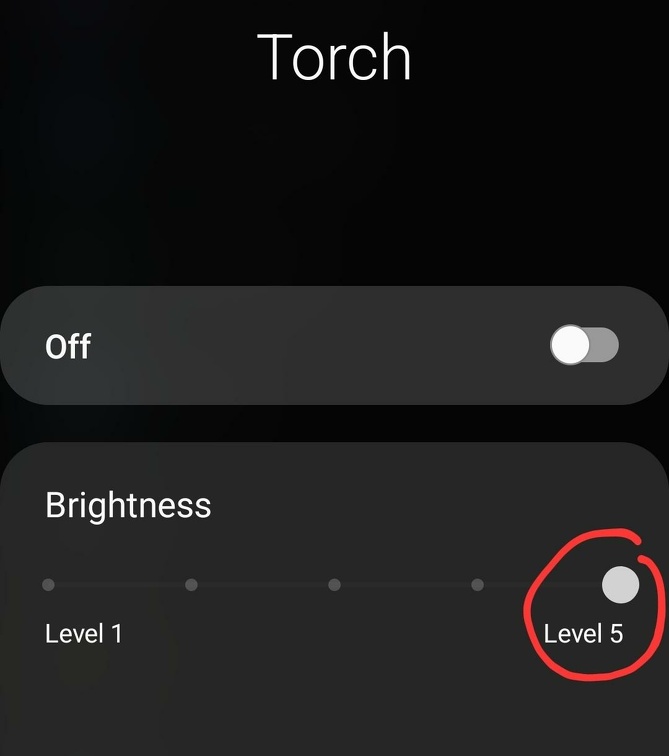 Adjust Brightness of torch